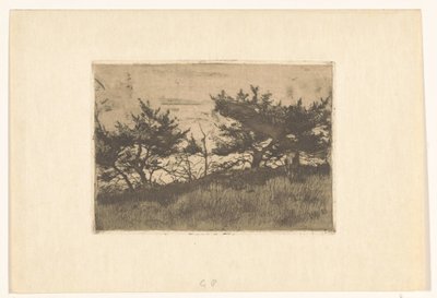 Bir tepe üzerinde ağaçlar by Willem Arnoldus Witsen