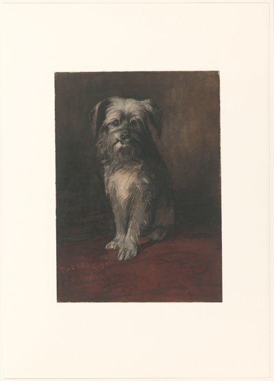Köpek Phoebus'un Portresi by Willem Arnoldus Witsen