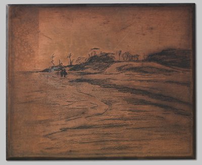 Zuiderzee üzerinde Valkeveen by Willem Arnoldus Witsen