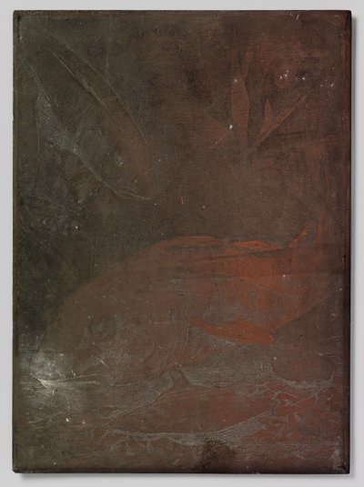 Bir akvaryumda balık by Willem Arnoldus Witsen