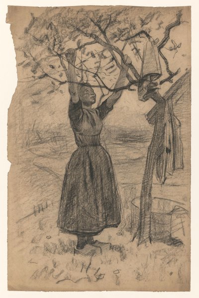 Kadın çamaşırları bir ağaca asıyor, sağa by Willem Arnoldus Witsen