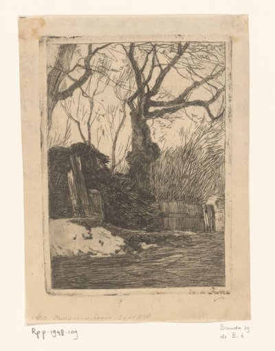 Bir çitin yanında ağaçlar ve ibneler Ağaçlı bir çitin yanında dallar (orijinal başlık) by Willem de Zwart (signed by artist)