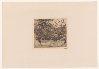 Bomba sığınağı girişi olan orman by Willem de Zwart (signed by artist)