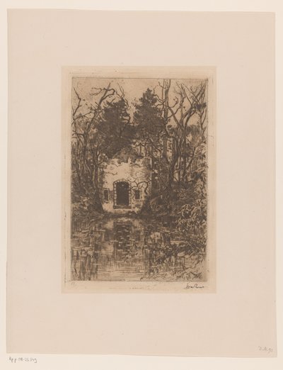 Bir göletteki harabeler Bir göletteki harabeler (Lage Vuursche) (orijinal başlık) by Willem de Zwart (signed by artist)