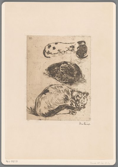 Kedilerin incelenmesi (orijinal başlık) by Willem de Zwart (signed by artist)