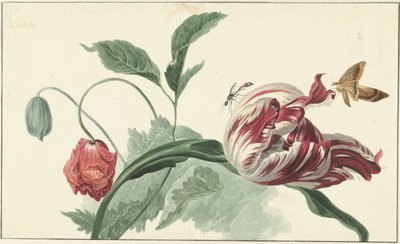 Lale ve haşhaş by Willem van Leen (attributed to)