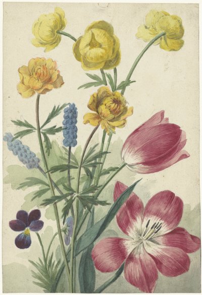 Lale, menekşe, üzüm sümbül ve nokta buketi by Willem van Leen