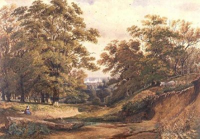 Oxford yakınlarındaki Bagley Wood