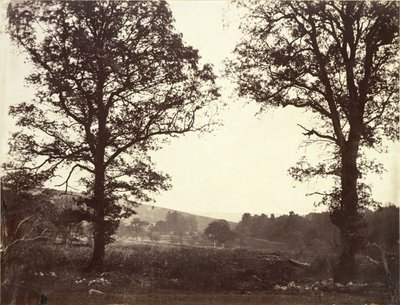 Karaağaç, Ashdown, Büyük Britanya ile manzara by William 2nd Earl of Craven