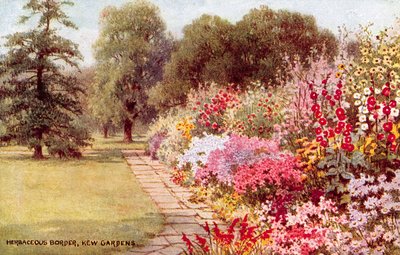 Otsu Bordür, Kew Bahçeleri by William Affleck Carruthers