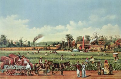  by William Aiken (after) Walker