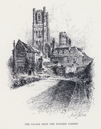 Mutfak Bahçesinden Saray (gravür) by William Alexander Ansted