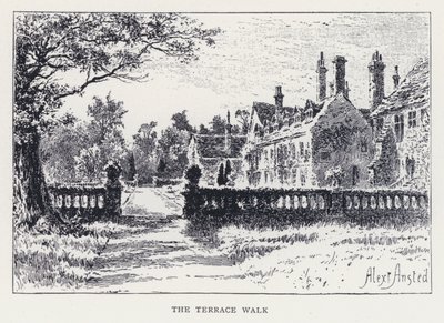 Teras Yürüyüşü (gravür) by William Alexander Ansted