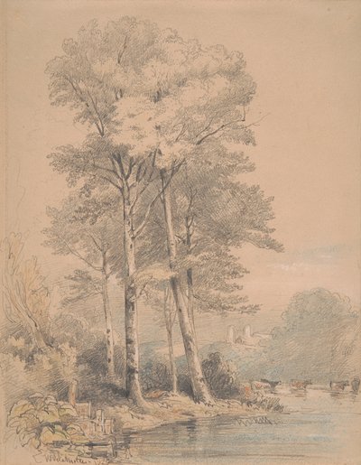 Llandovery Kalesi, Güney Galler by William Alfred Delamotte