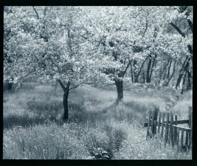  by William B. Post