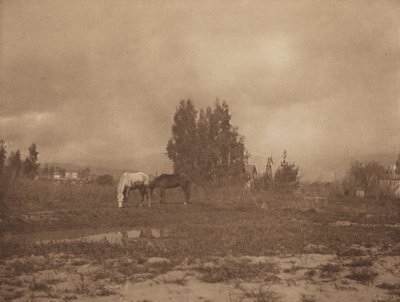 Pasadena Manzarası by William B. Post