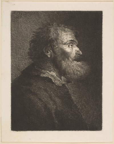 Profildeki Yaşlı Bir Adam, 1761. by William Baillie