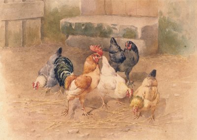 Tavuklar (kağıt üzerine gövde rengi ile sulu boya) by William Baptiste Baird