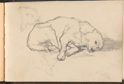 Uyuyan bir köpeğin taslağı, 1879 dolaylarında by William Barnes Wollen