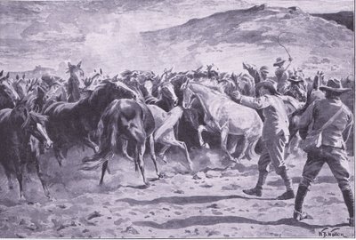 Fouriesburg yakınlarındaki Brandwater bölgesinde atların ele geçirilmesi: sürüyü toplama, Pretoria Sonrası: Gerilla Savaşı, 1902