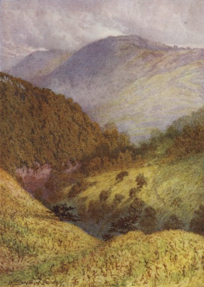 Chee Dale
