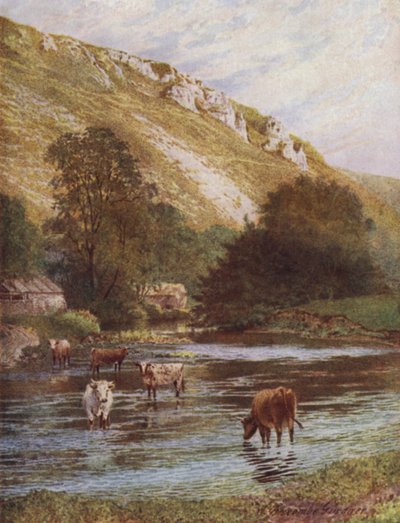 Wye