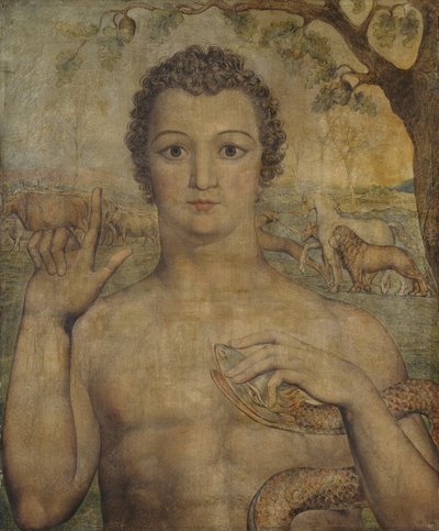 Adem Canavarlara Ad Veriyor by William Blake