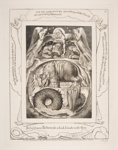 Behemoth ve Leviathan, Eyüp Kitabının Çizimlerinden, 1825-26. by William Blake