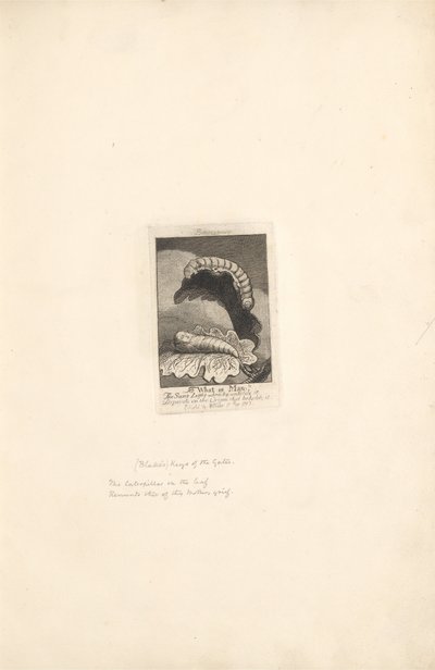 Cinsiyetler İçin - Cennetin Kapıları, Levha 1, Başlık Sayfası by William Blake