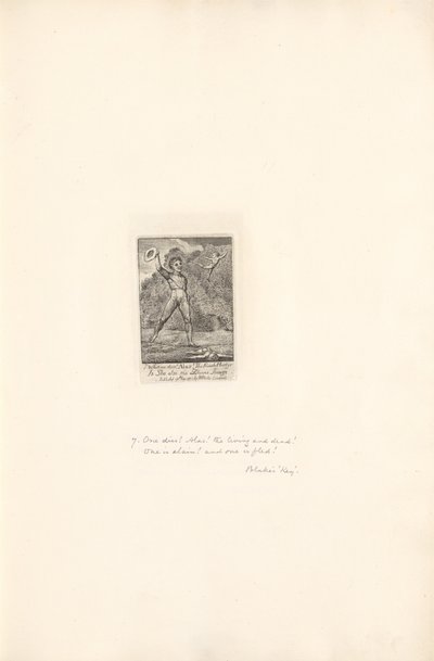 Cinsiyetler İçin - Cennetin Kapıları, Plaka 9, Ne yazık ki! by William Blake