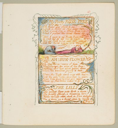 Masumiyet ve Tecrübe Şarkıları: Benim Güzel Gül Ağacım, Ah! Ay Çiçeği, Zambak, ca. 1825. by William Blake