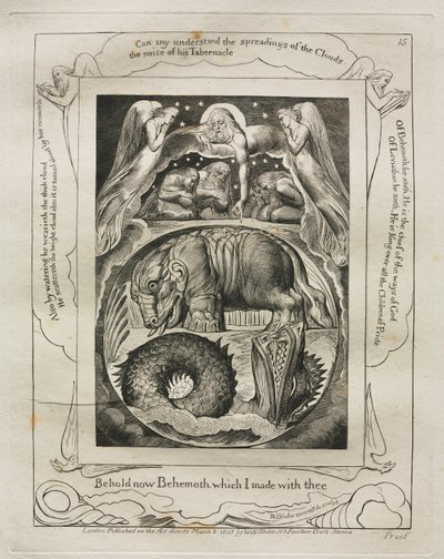Eyüp Kitabı: Pl. 15, işte şimdi seninle yaptığım Behemot by William Blake