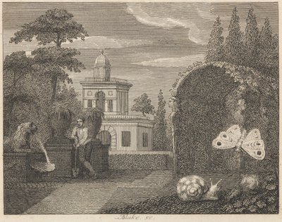 Kelebek ve Salyangoz by William Blake