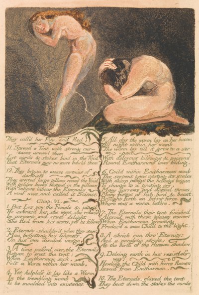 Urizen'in Birinci Kitabı, Levha 17, "Ona Merhamet dediler ve kaçtılar..." (Bentley 19) by William Blake
