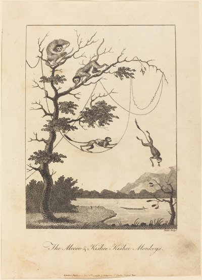 Mecoo ve Kisbee Kishee Maymunları, 1793. by William Blake
