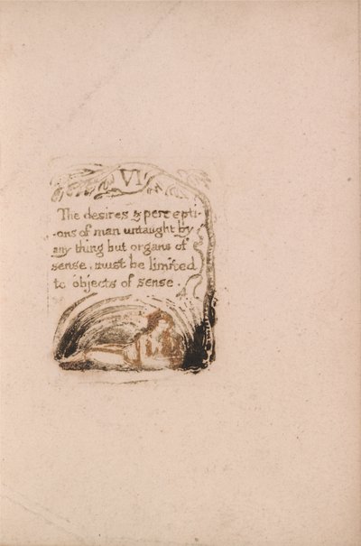 Doğal Din Yoktur, Levha 8, VI Arzular ve Algılar . . . . (Bentley a9) by William Blake