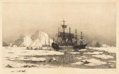 Buz Parçaları Arasında by William Bradford
