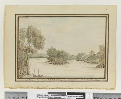 Op. P. 120. `Port Jackson