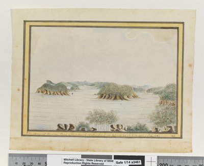 Op. P. 93. `SW. Girişteki bir adadan Broken Bay New South Wales kolu. Eylül 1789
