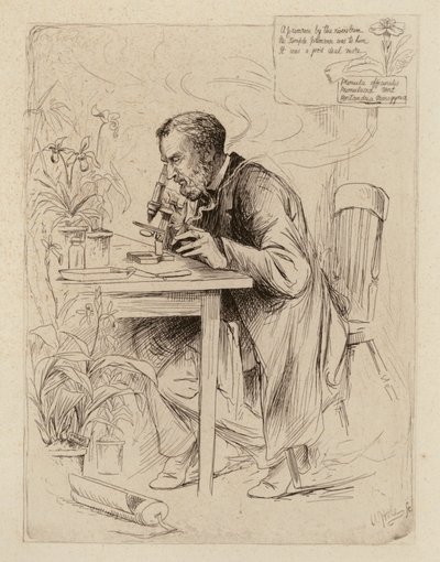 by William Brassey (after) Hole