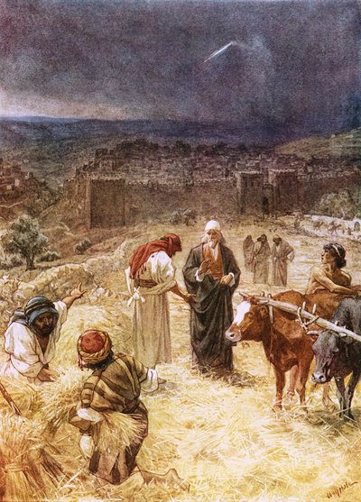 Kral Davut harman yerini satın alıyor by William Brassey Hole