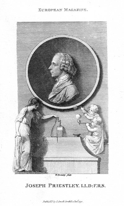 Joseph Priestley, İngiliz kimyager ve Presbiteryen bakanı, 1791 by William Bromley