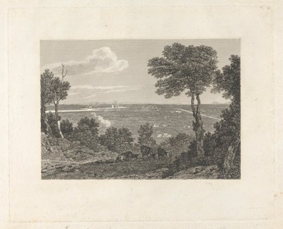 Chester'ın Uzaktan Görünümü by William Byrne
