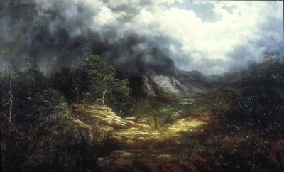 Blue Ridge Üzerinde Fırtına (tuval üzerine yağlı boya) by William Charles Anthony Frerichs
