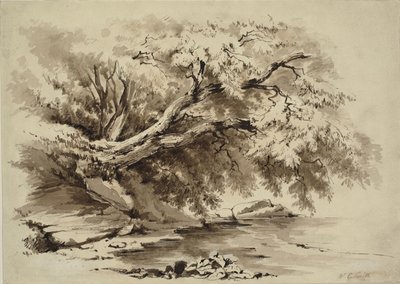 Bir gölden sarkan ağaçlarla dolu manzara by William Collingwood Smith