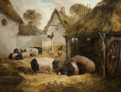 Yazlık Konukseverlik by William Collins