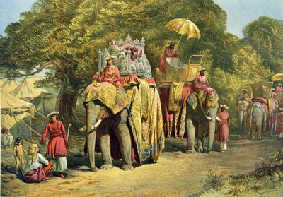 Genel Vali Devlet Howdah, 1863 (chromolitho) by William Crimea Simpson