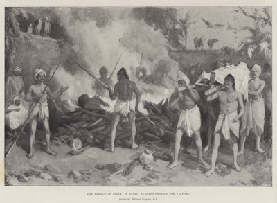 Hindistan
