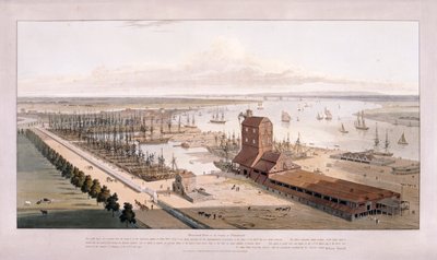 Brunswick Rıhtımı ve Doğu Hindistan Rıhtımı, Poplar, Londra, 1803 by William Daniell
