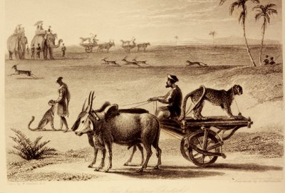 ಬೇಟೆಯಾಡುವ ಚಿರತೆಗಳು ಟರ್ಕಿ by William Daniell
